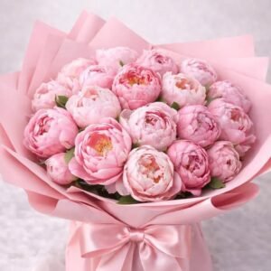 Nude & Pink